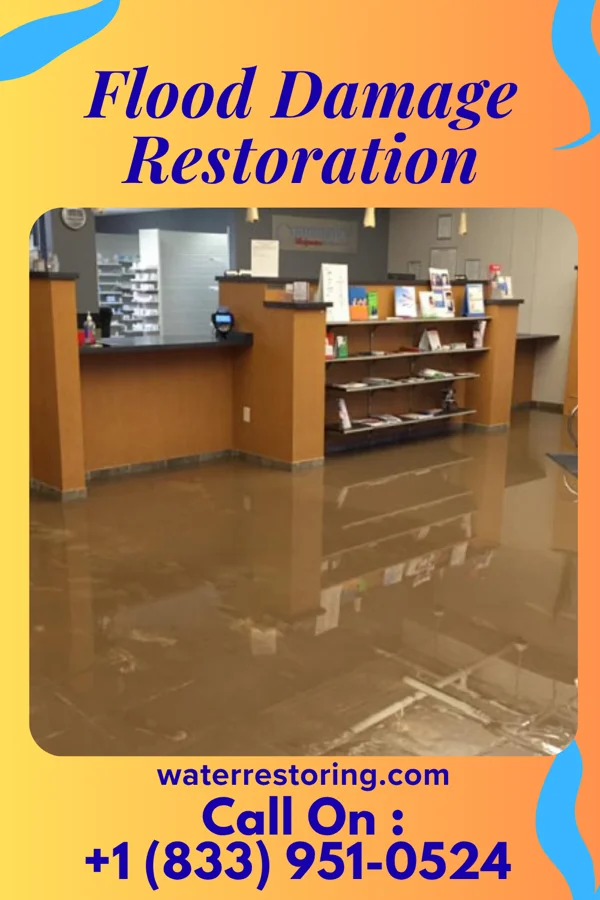 Flood Damage Restoration in Dowell, IL