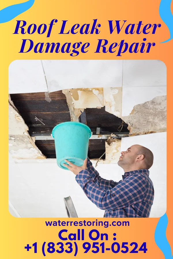 Roof Leak Water Damage Repair in Dowell, IL